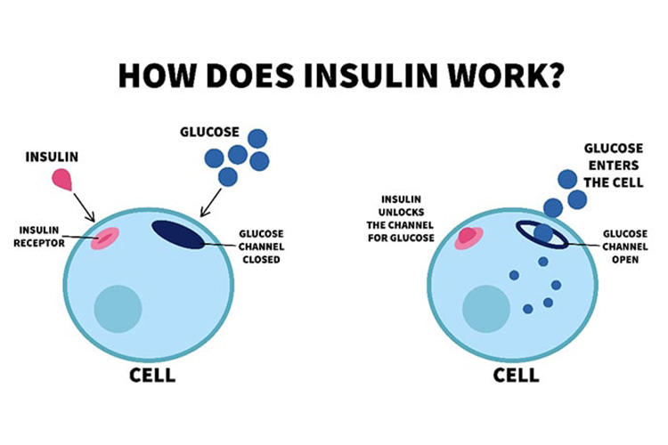 インスリン注射のイメージ